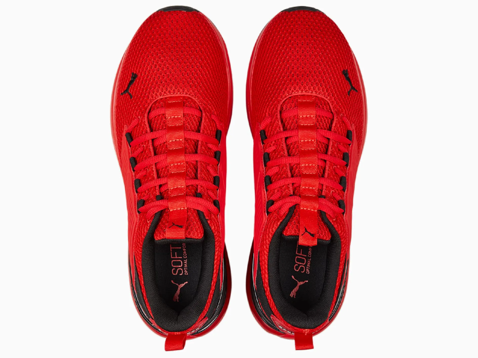 Puma Mens Cell Rapid  377871 05