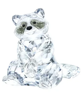 Swarovski Crystal Figurine Rare Encounters RACCOON, Clear -5301563