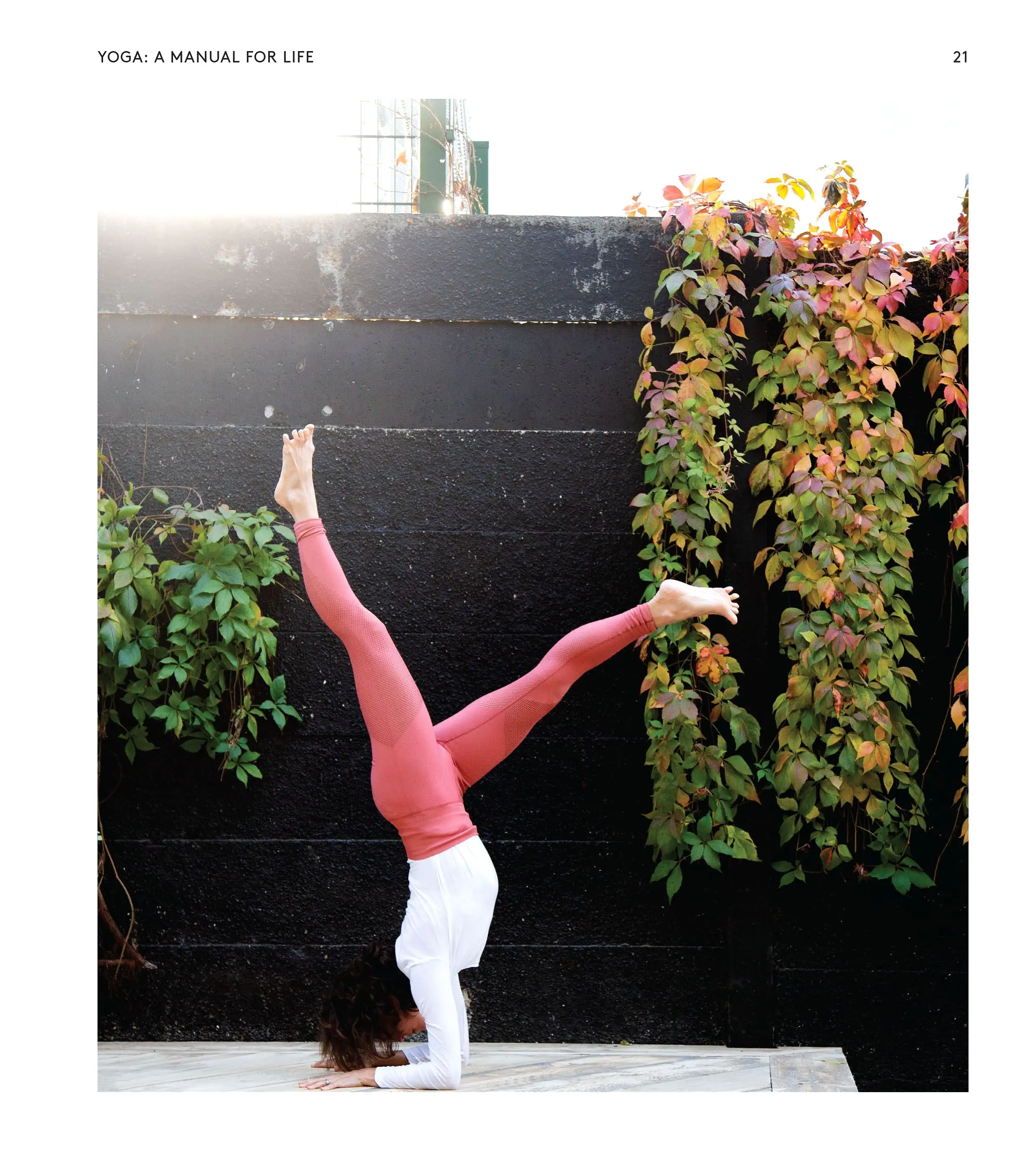 Yoga: A Manual For Life